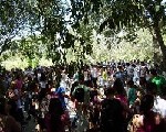 Η Β. Ήπειρος ζει ορθόδοξα κι ελληνικά - μικρά νέα