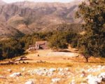 Νέα πρόκληση στη Χιμάρα: Κατάρριψη του Σταυρού στη Μονή του Σκουταρά